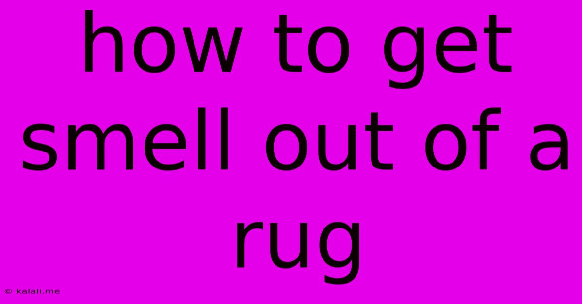 How To Get Smell Out Of A Rug
