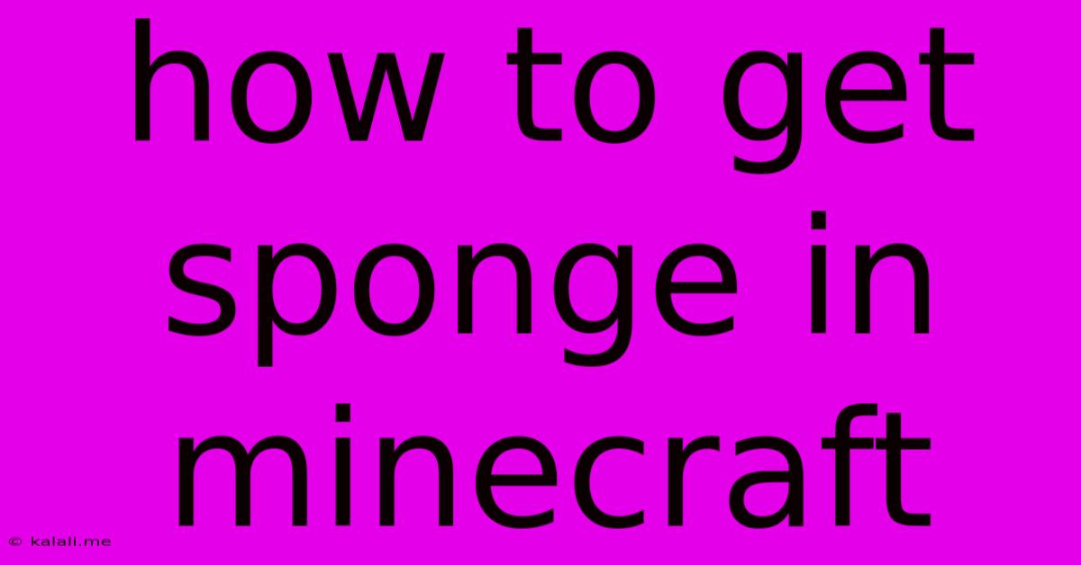 How To Get Sponge In Minecraft