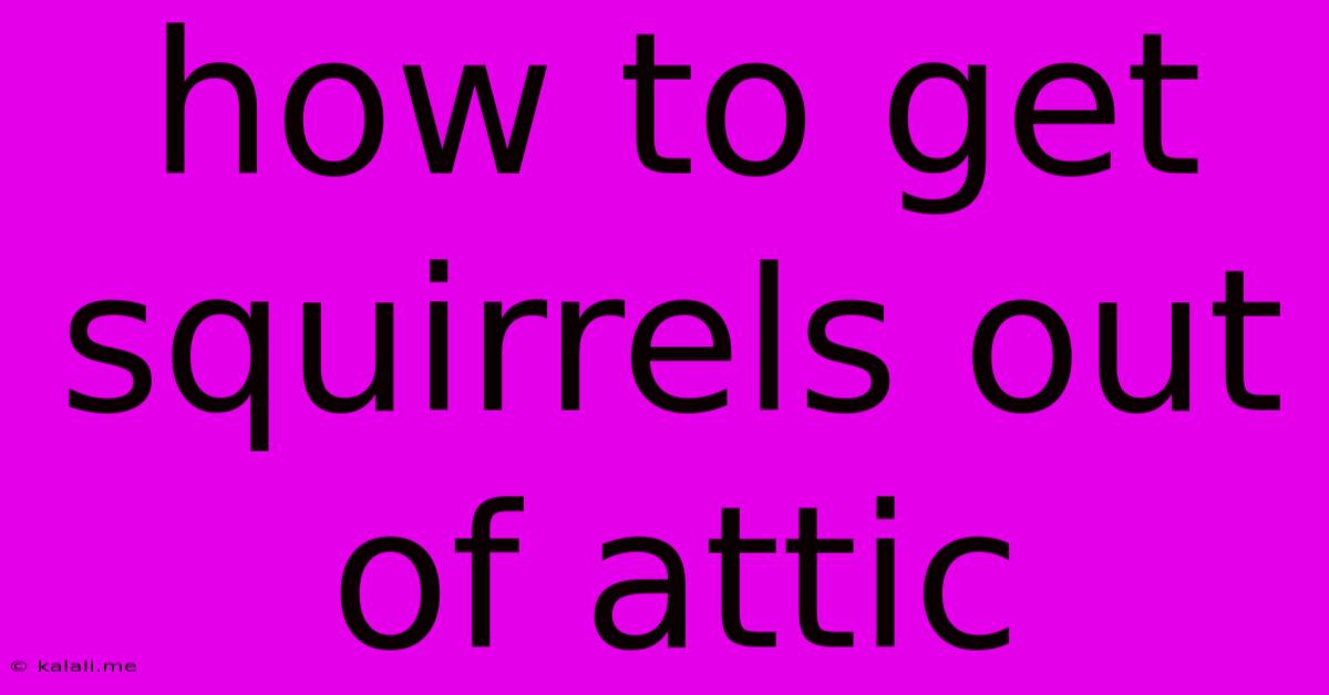 How To Get Squirrels Out Of Attic