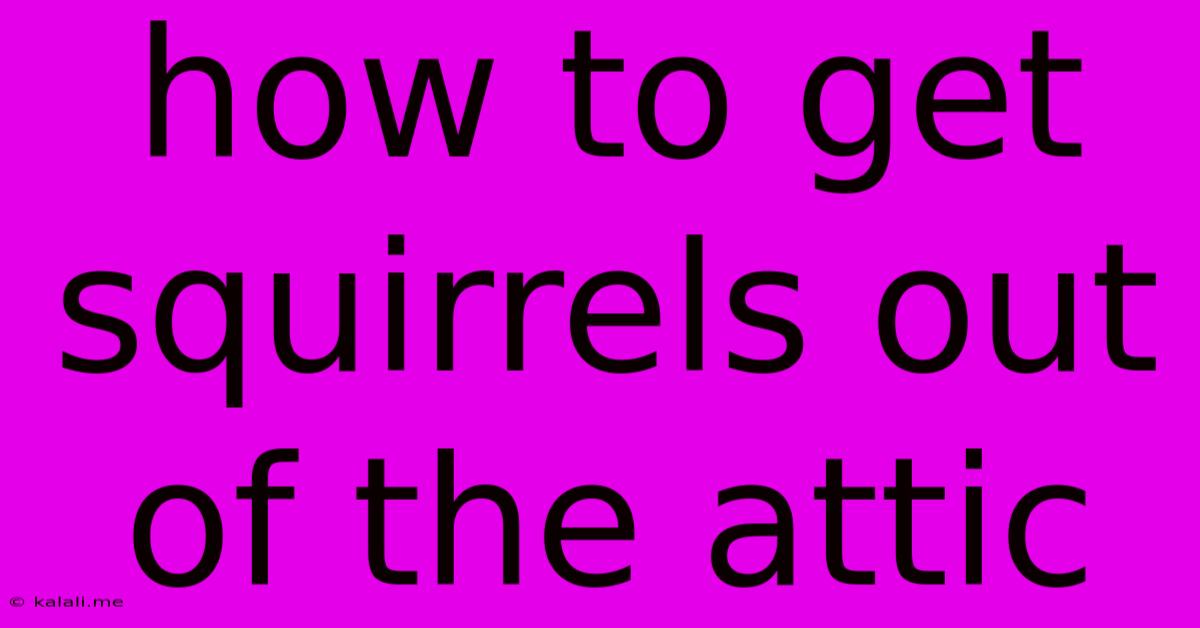 How To Get Squirrels Out Of The Attic