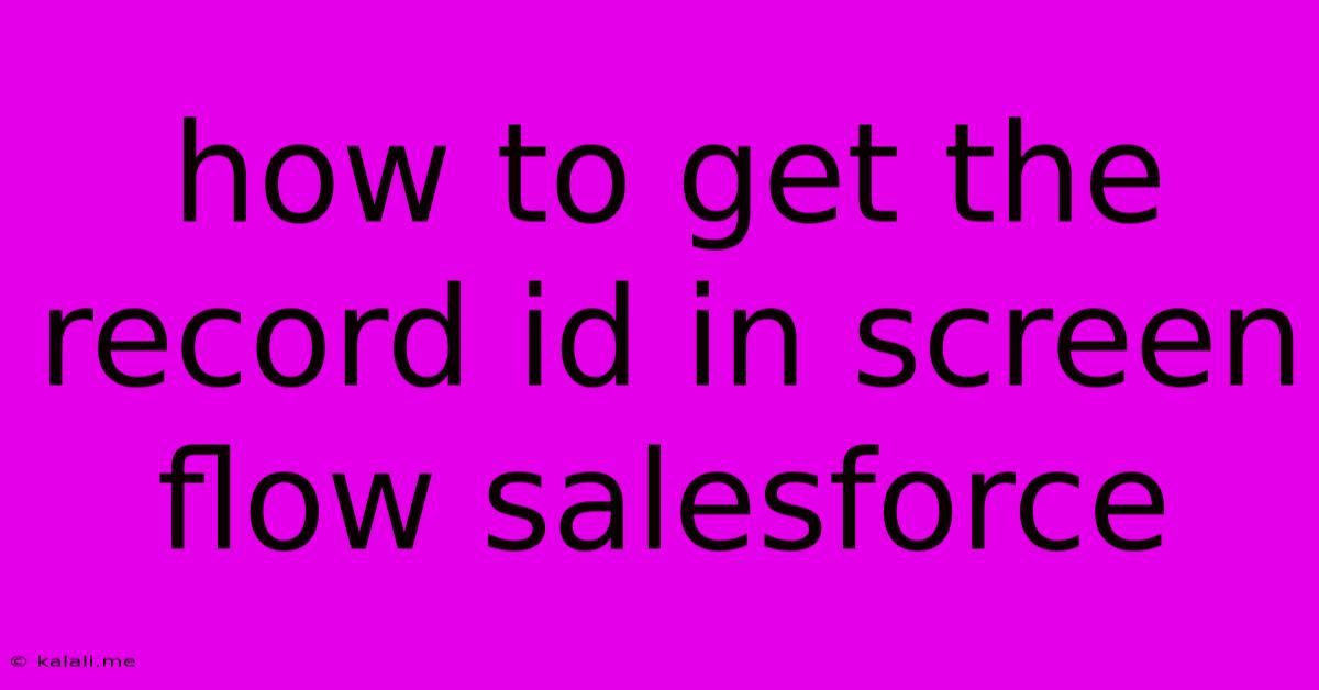How To Get The Record Id In Screen Flow Salesforce