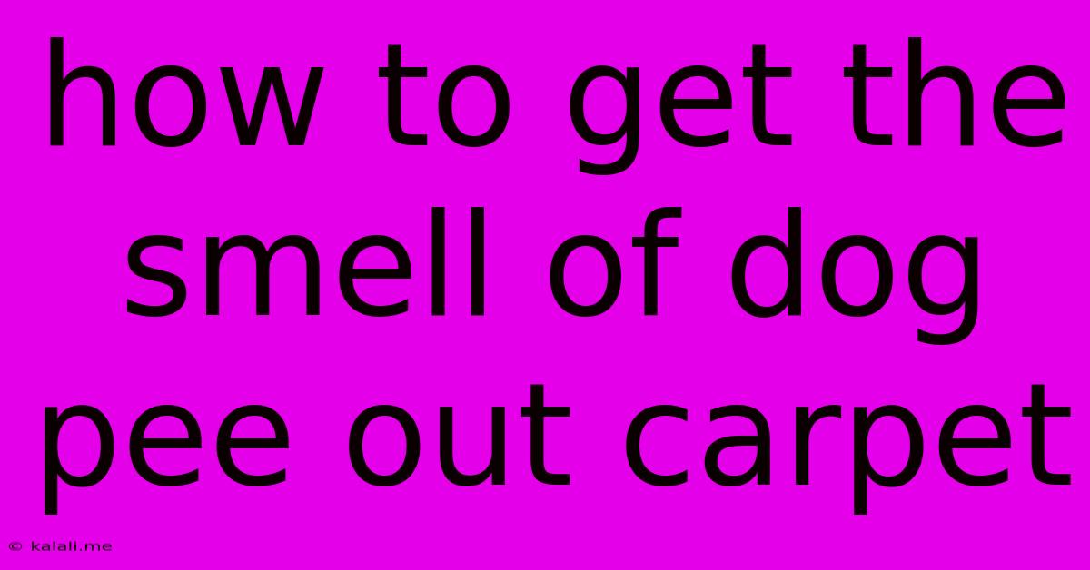 How To Get The Smell Of Dog Pee Out Carpet