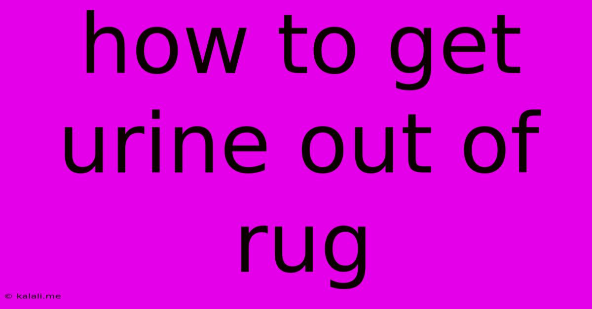 How To Get Urine Out Of Rug