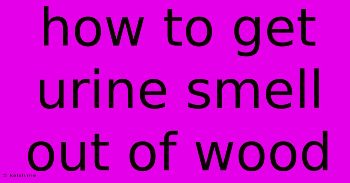 How To Get Urine Smell Out Of Wood
