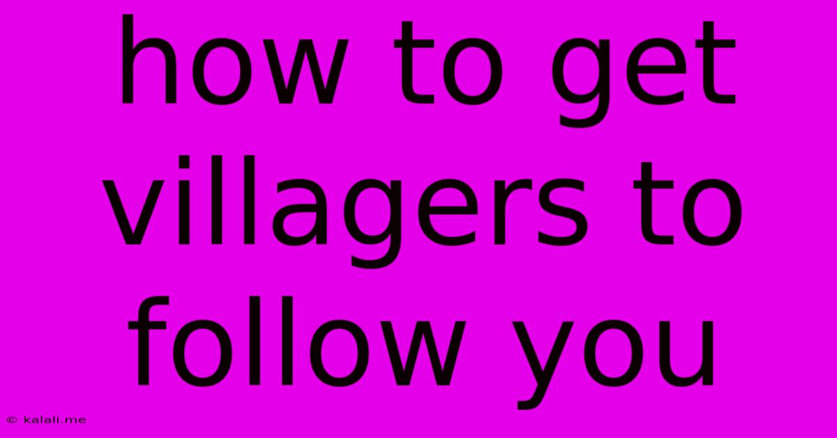 How To Get Villagers To Follow You