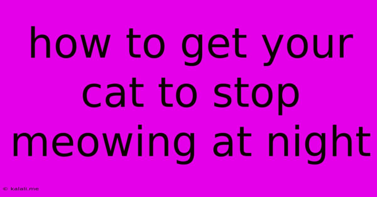 How To Get Your Cat To Stop Meowing At Night