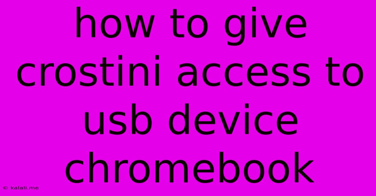 How To Give Crostini Access To Usb Device Chromebook