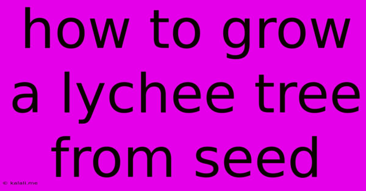 How To Grow A Lychee Tree From Seed