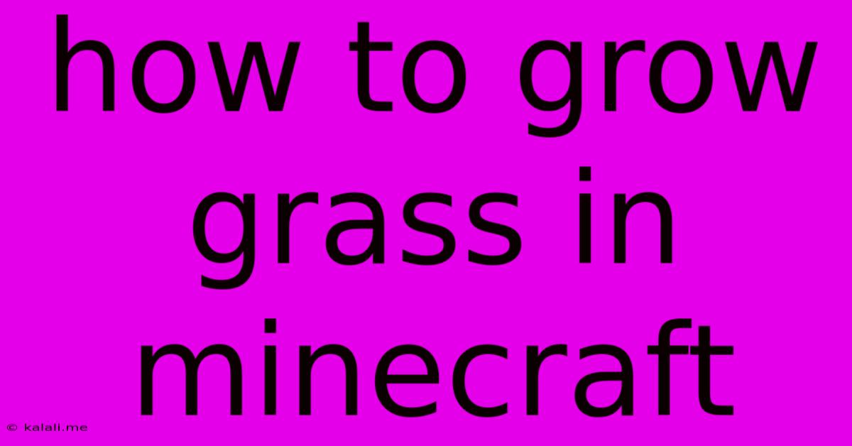 How To Grow Grass In Minecraft