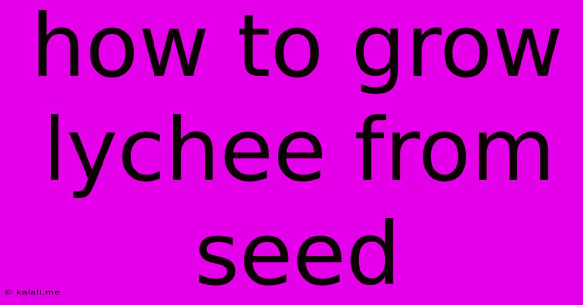 How To Grow Lychee From Seed
