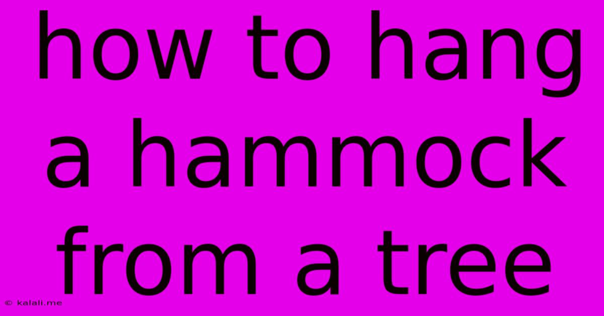 How To Hang A Hammock From A Tree
