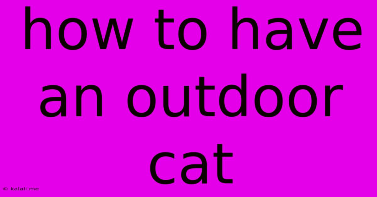 How To Have An Outdoor Cat