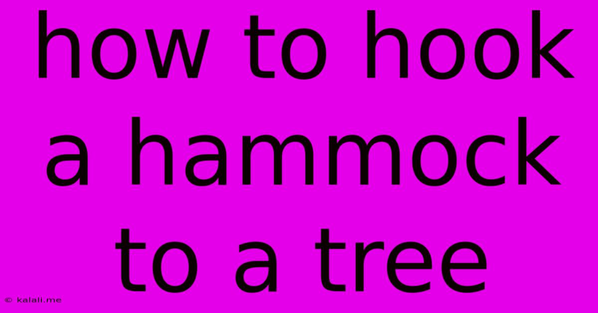 How To Hook A Hammock To A Tree