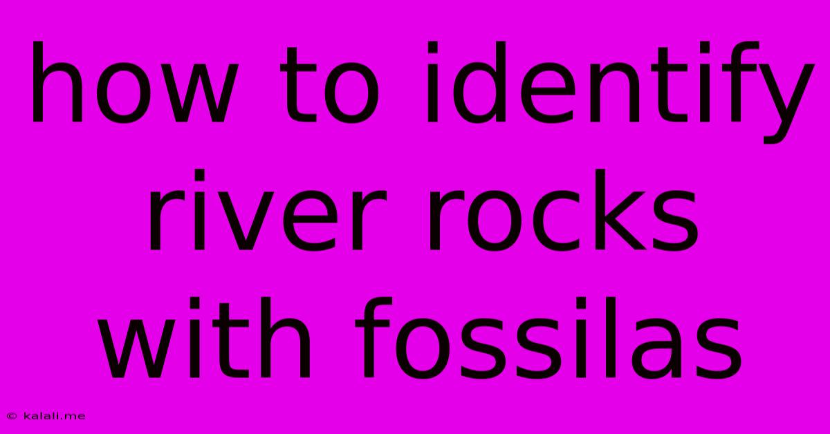 How To Identify River Rocks With Fossilas