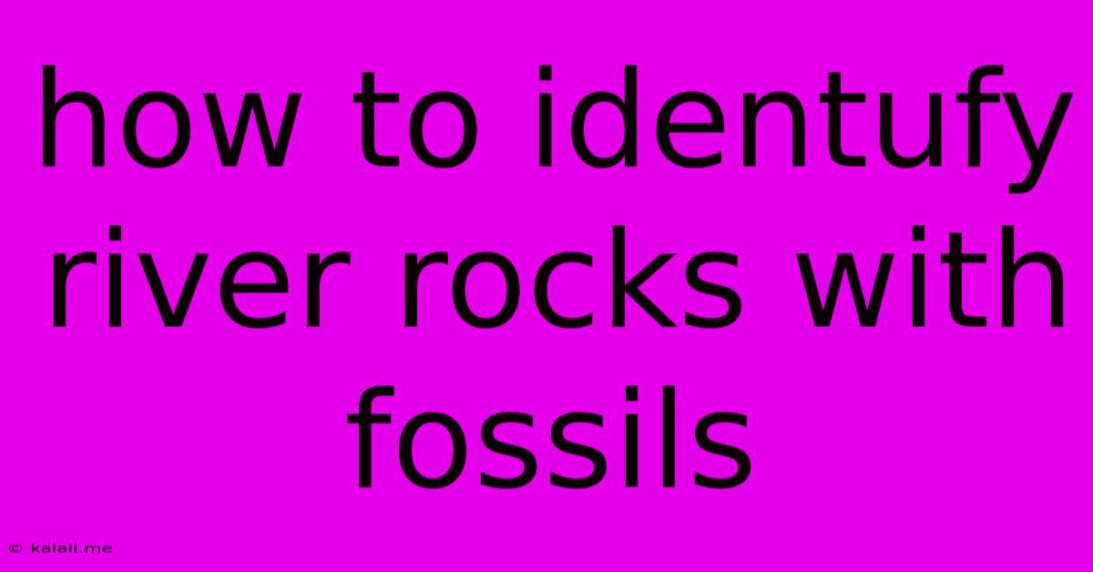 How To Identufy River Rocks With Fossils