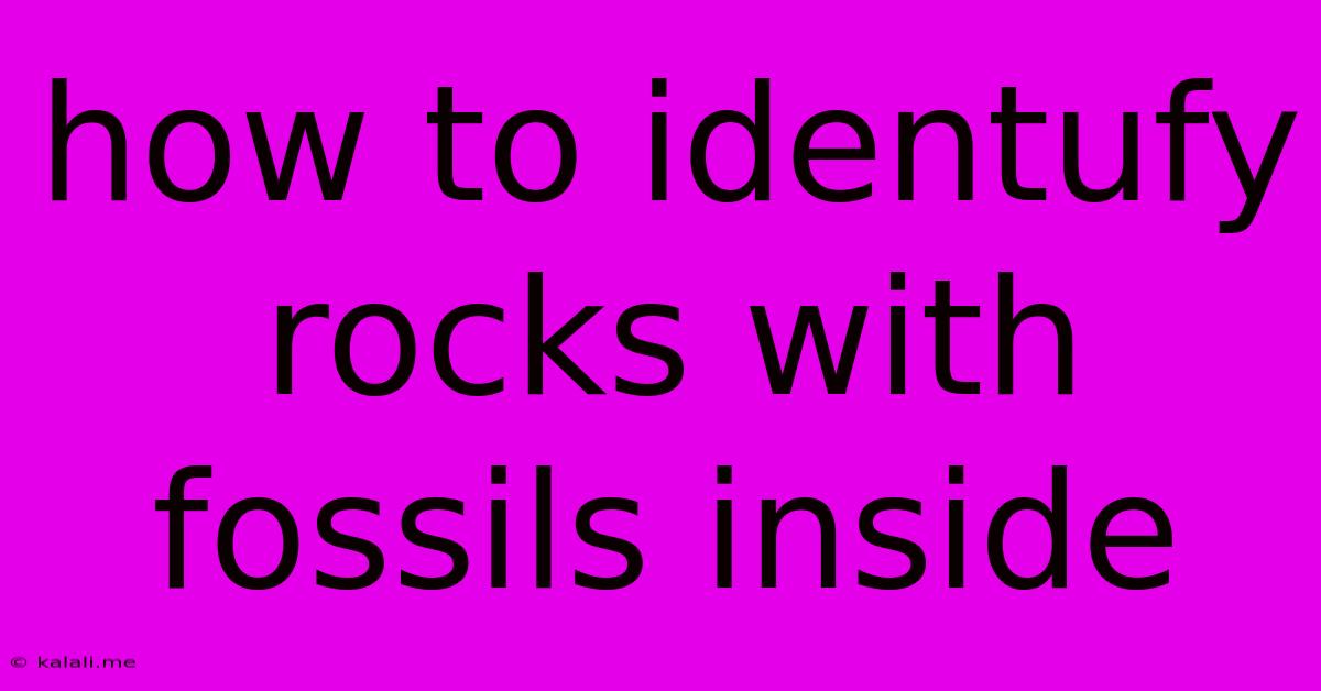 How To Identufy Rocks With Fossils Inside