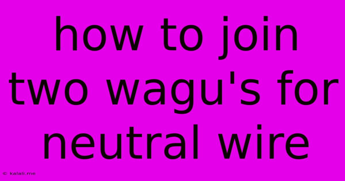 How To Join Two Wagu's For Neutral Wire