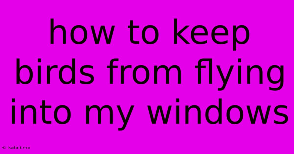 How To Keep Birds From Flying Into My Windows