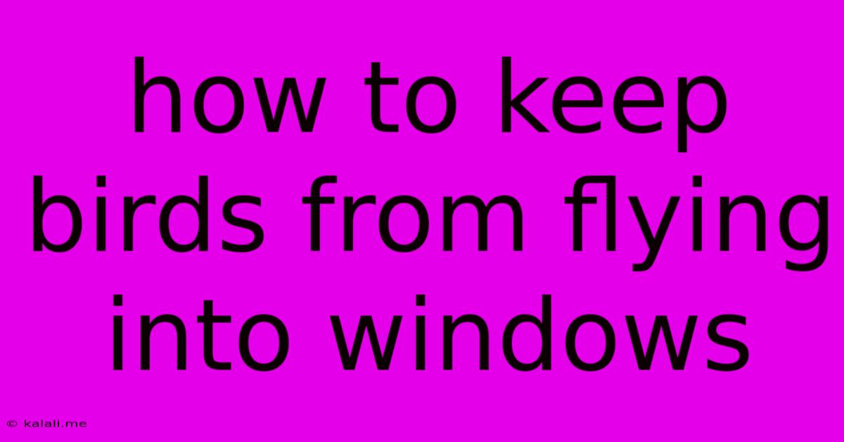 How To Keep Birds From Flying Into Windows