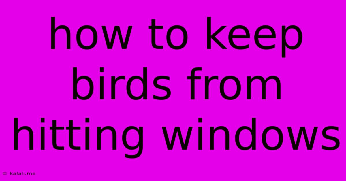 How To Keep Birds From Hitting Windows