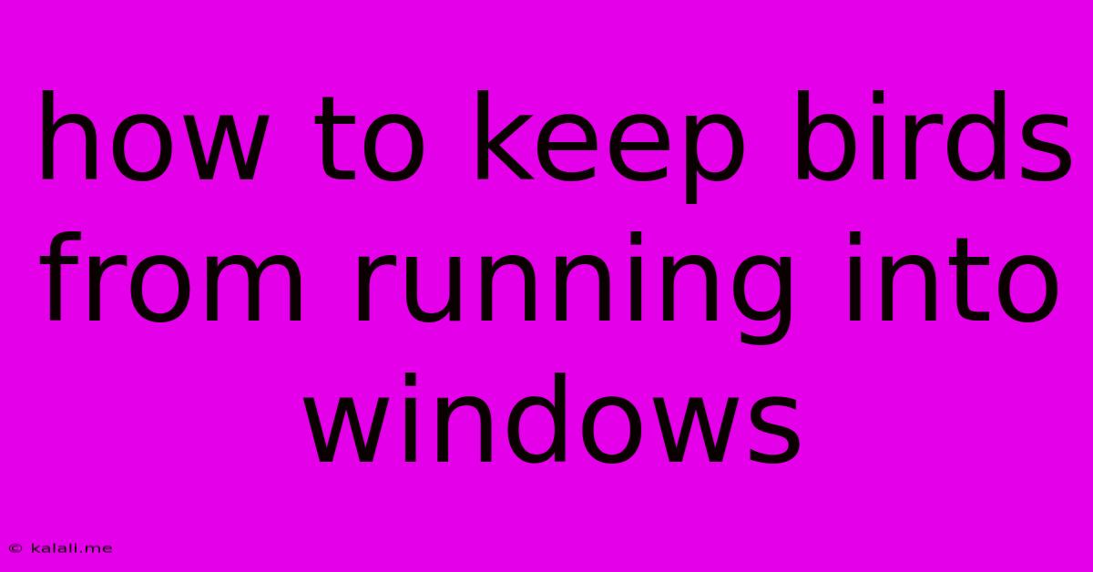 How To Keep Birds From Running Into Windows
