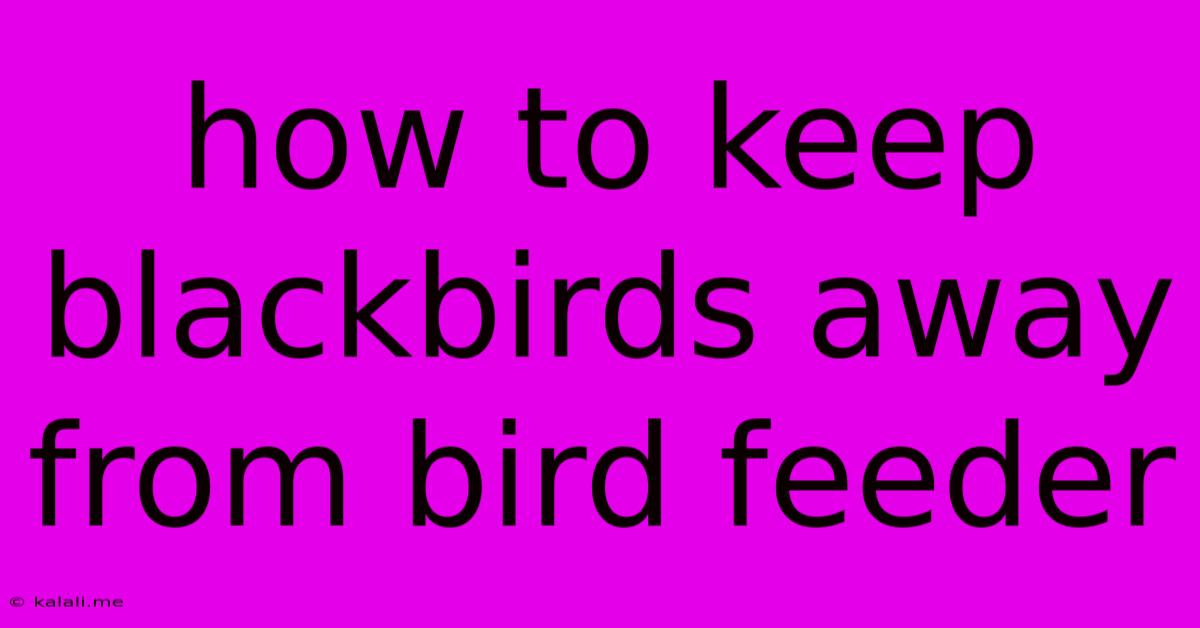 How To Keep Blackbirds Away From Bird Feeder