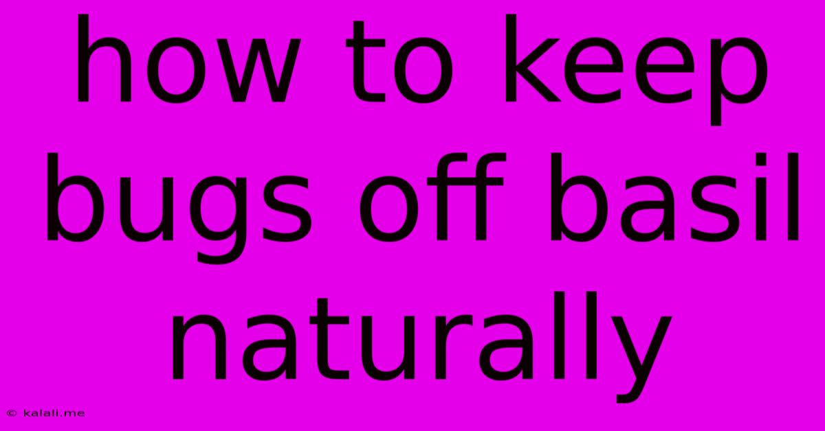 How To Keep Bugs Off Basil Naturally