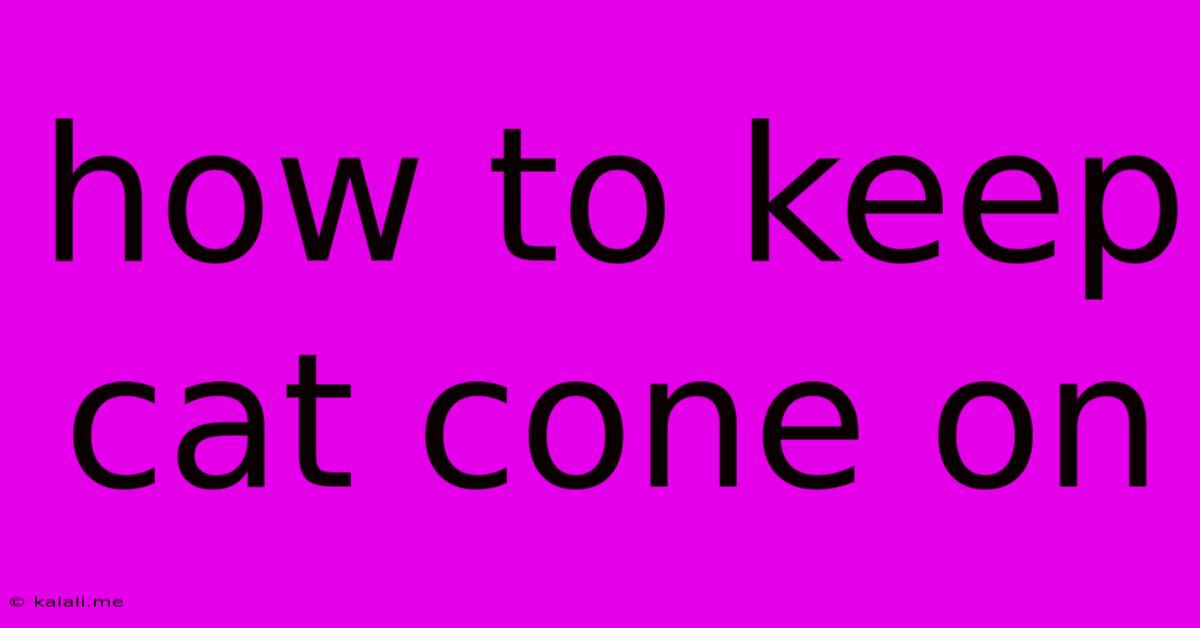 How To Keep Cat Cone On