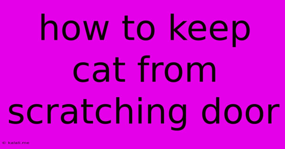 How To Keep Cat From Scratching Door