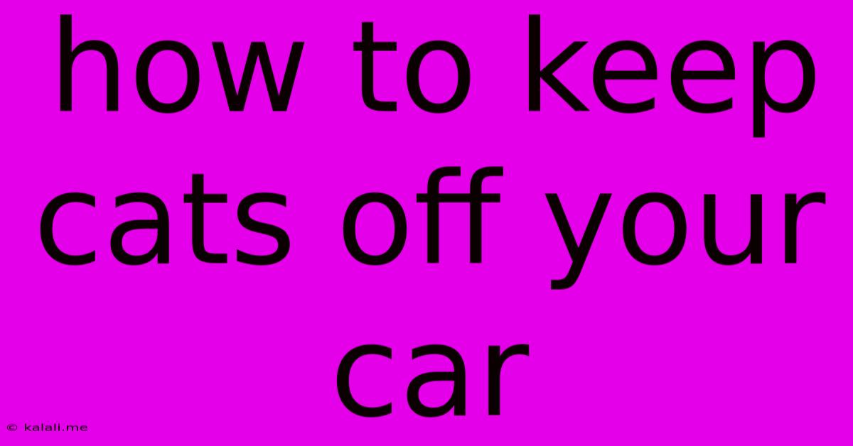 How To Keep Cats Off Your Car