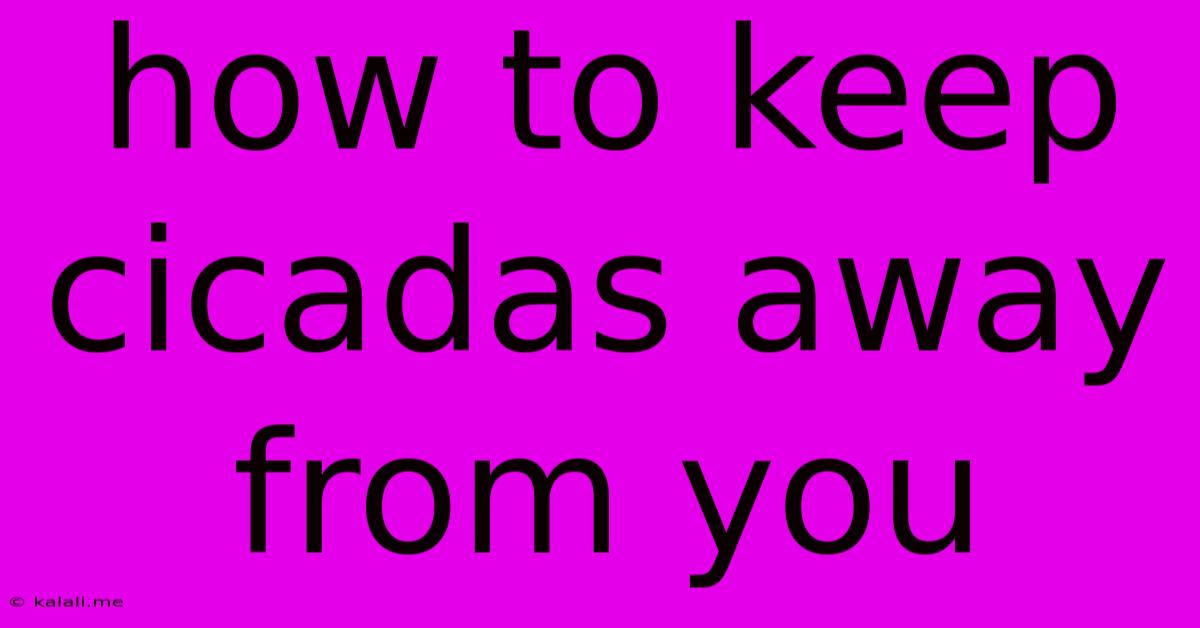 How To Keep Cicadas Away From You