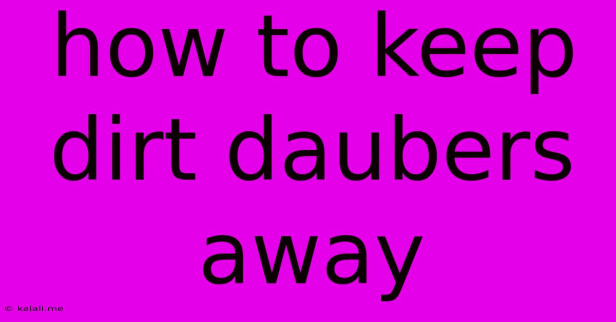 How To Keep Dirt Daubers Away