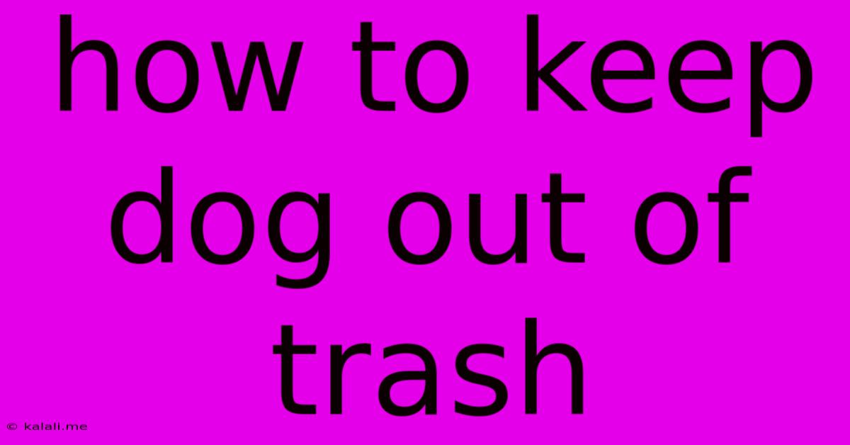 How To Keep Dog Out Of Trash