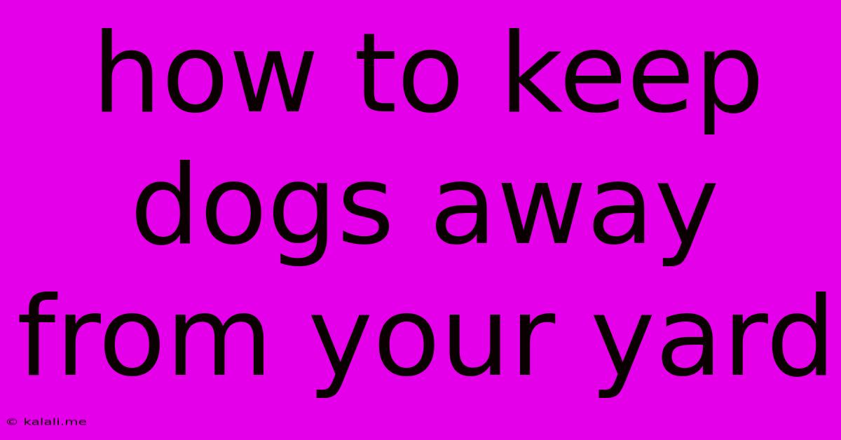 How To Keep Dogs Away From Your Yard