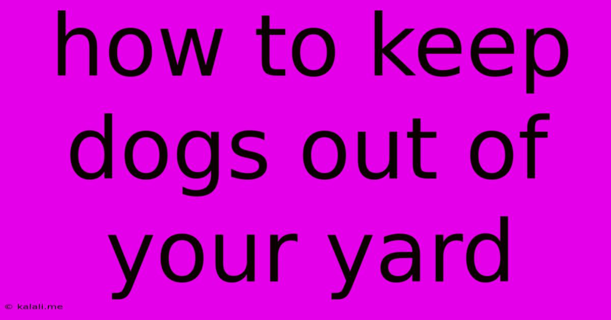 How To Keep Dogs Out Of Your Yard