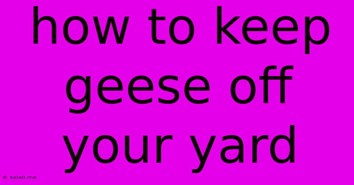 How To Keep Geese Off Your Yard