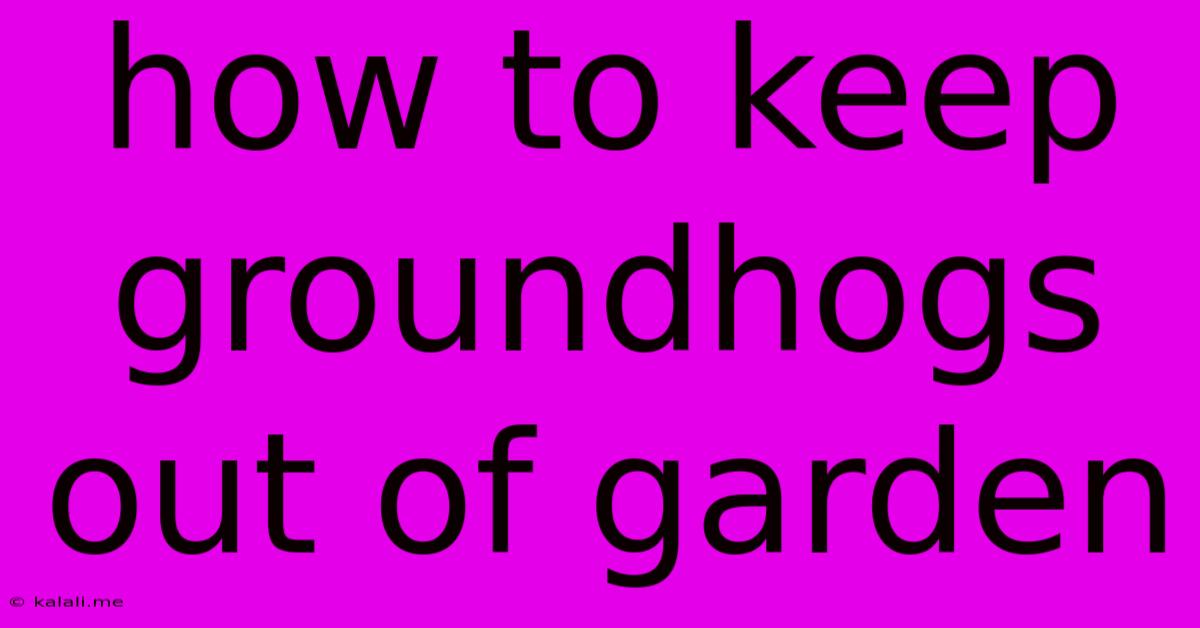 How To Keep Groundhogs Out Of Garden
