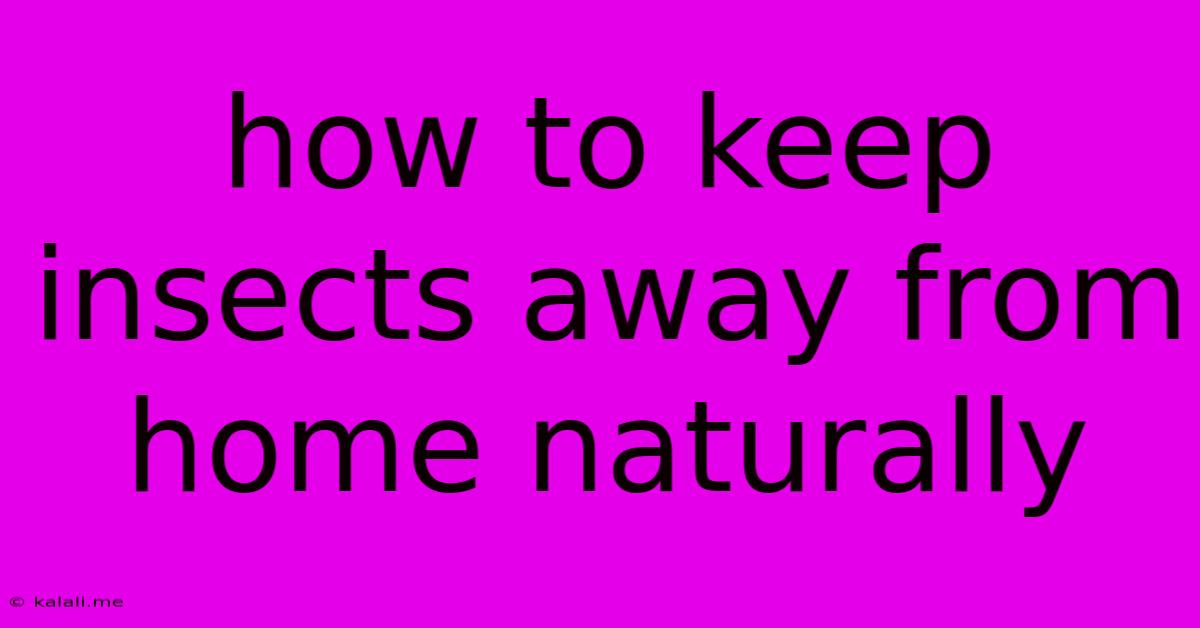 How To Keep Insects Away From Home Naturally