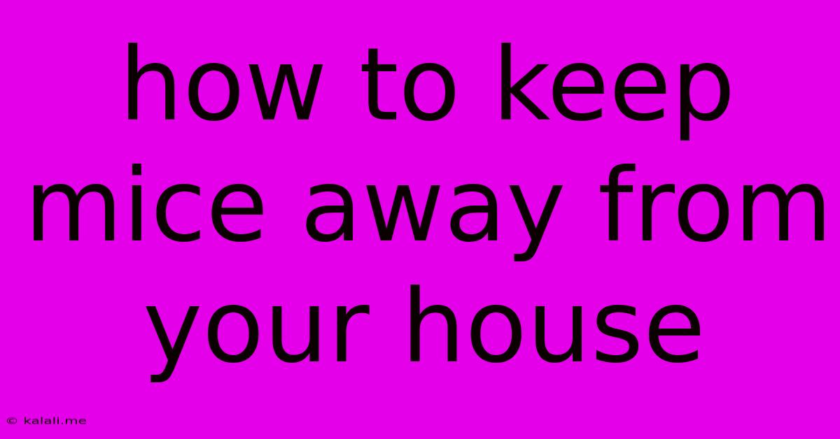 How To Keep Mice Away From Your House