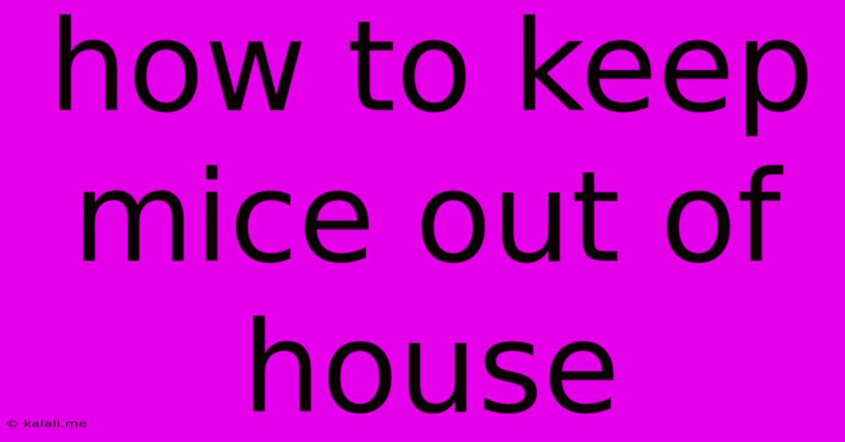 How To Keep Mice Out Of House