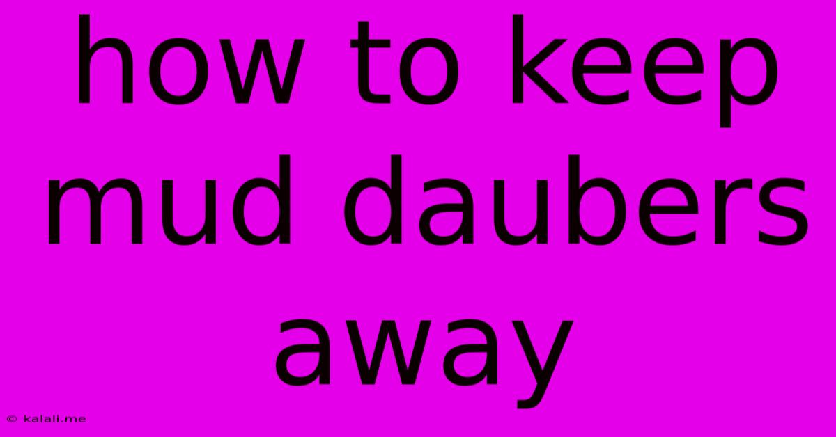 How To Keep Mud Daubers Away