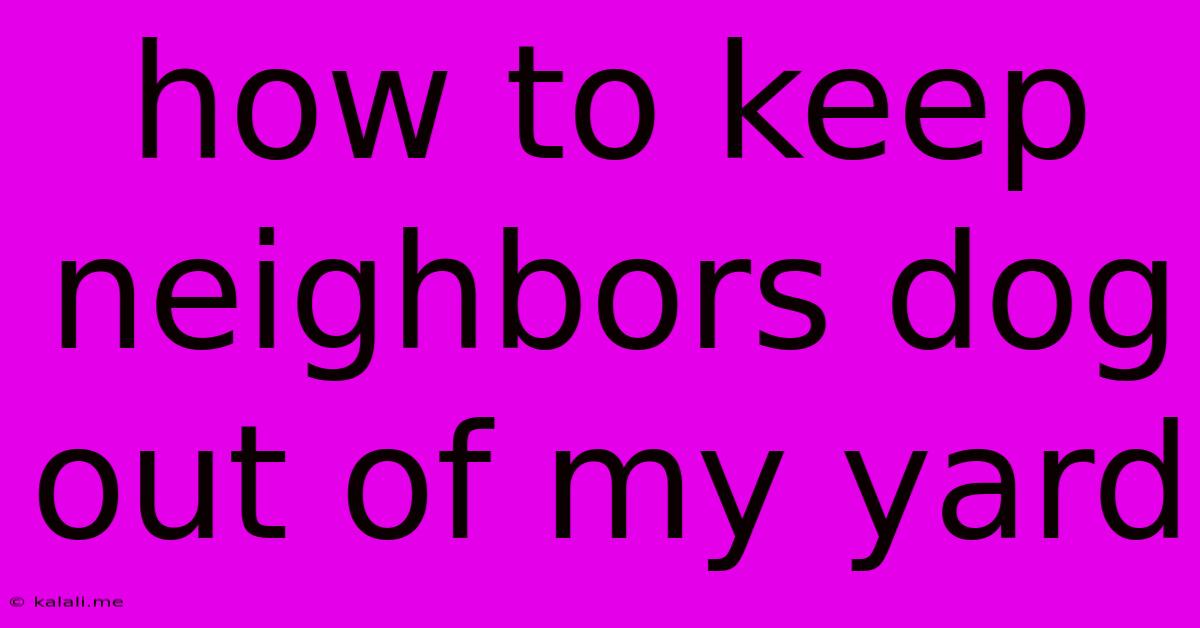 How To Keep Neighbors Dog Out Of My Yard