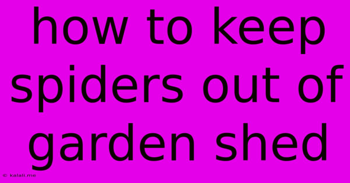How To Keep Spiders Out Of Garden Shed