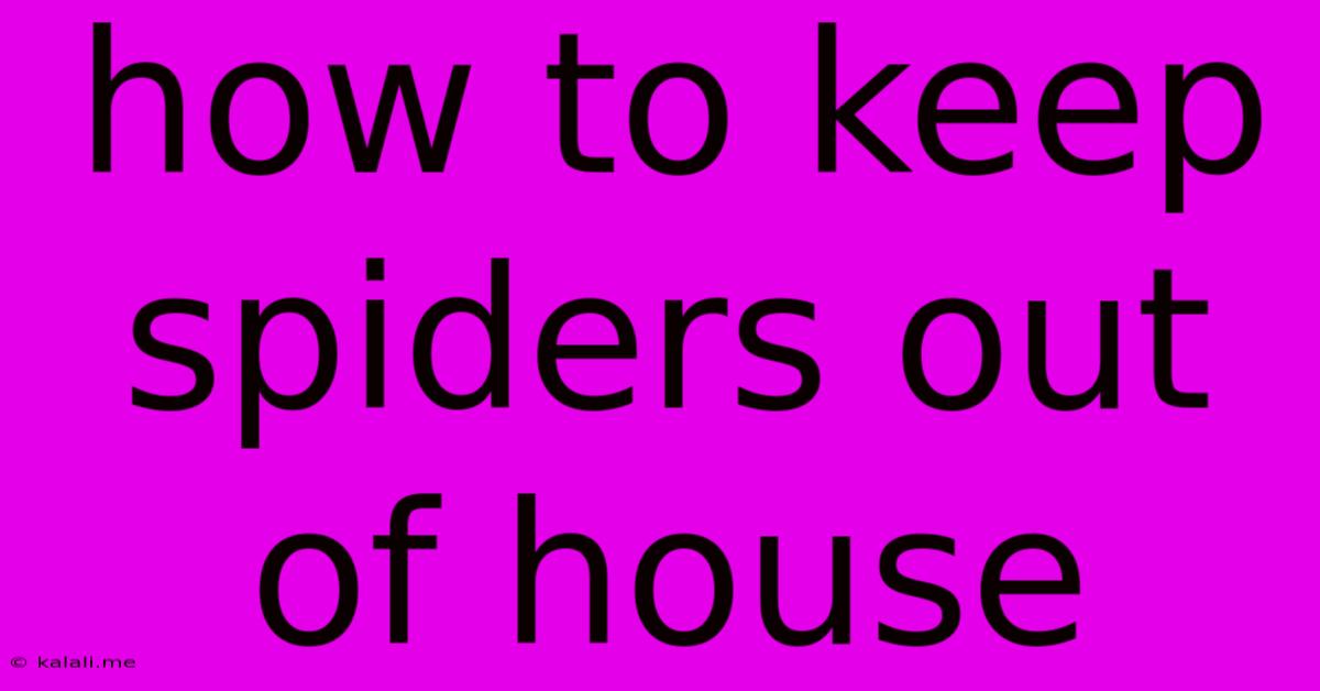 How To Keep Spiders Out Of House