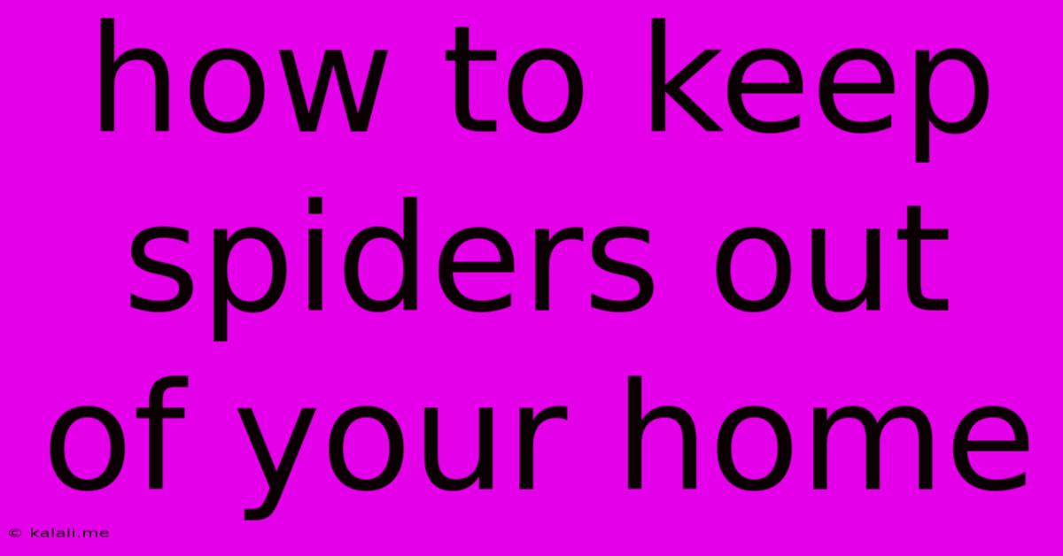 How To Keep Spiders Out Of Your Home