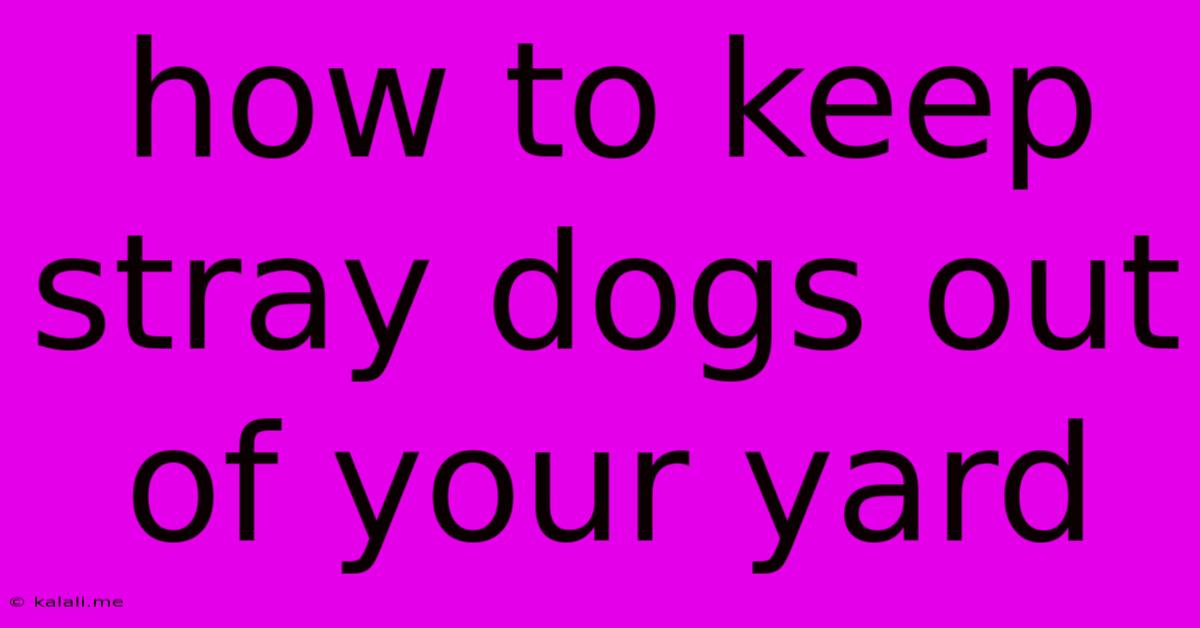How To Keep Stray Dogs Out Of Your Yard