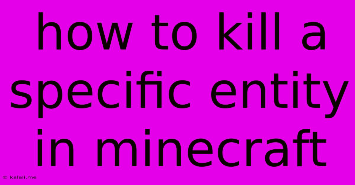 How To Kill A Specific Entity In Minecraft