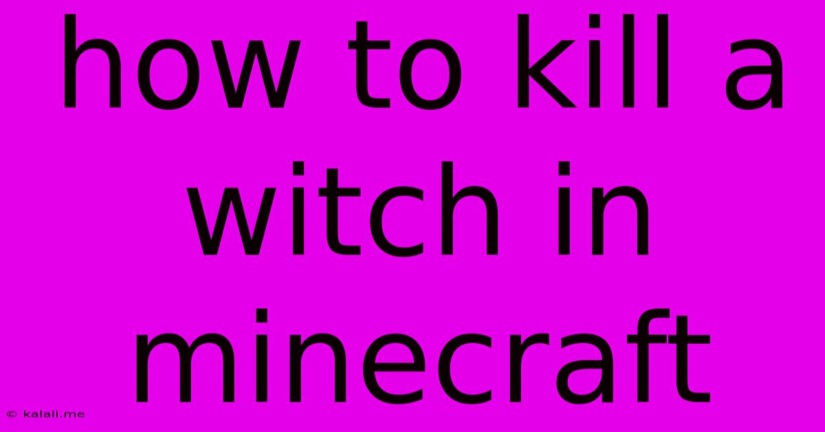 How To Kill A Witch In Minecraft