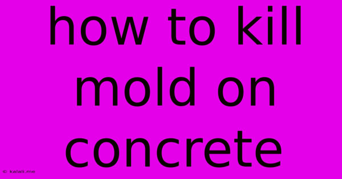 How To Kill Mold On Concrete