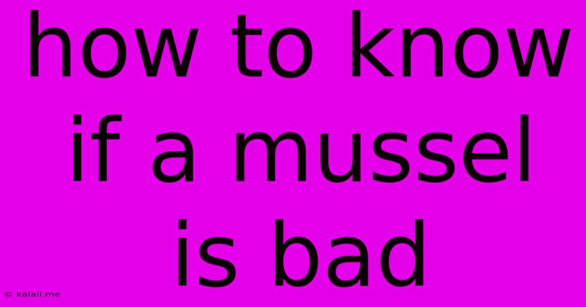 How To Know If A Mussel Is Bad